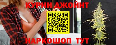 ПСИЛОЦИБИНОВЫЕ ГРИБЫ Новозыбков