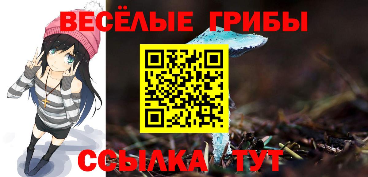 Галлюциногенные грибы мицелий  дарнет шоп  Тайшет  Вход с VPN 