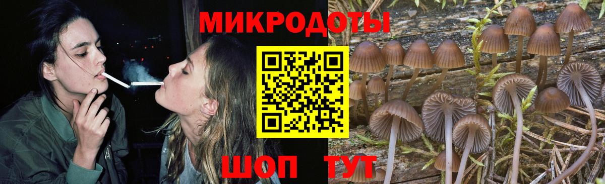 Псилоцибиновые грибы Magic Shrooms Тайшет